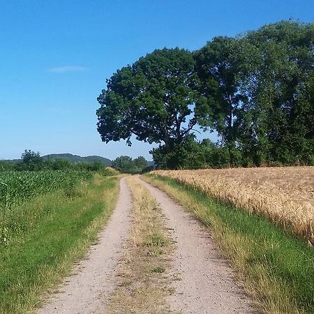 Landgasthof Zur Untermuehle Datterode Exteriör bild