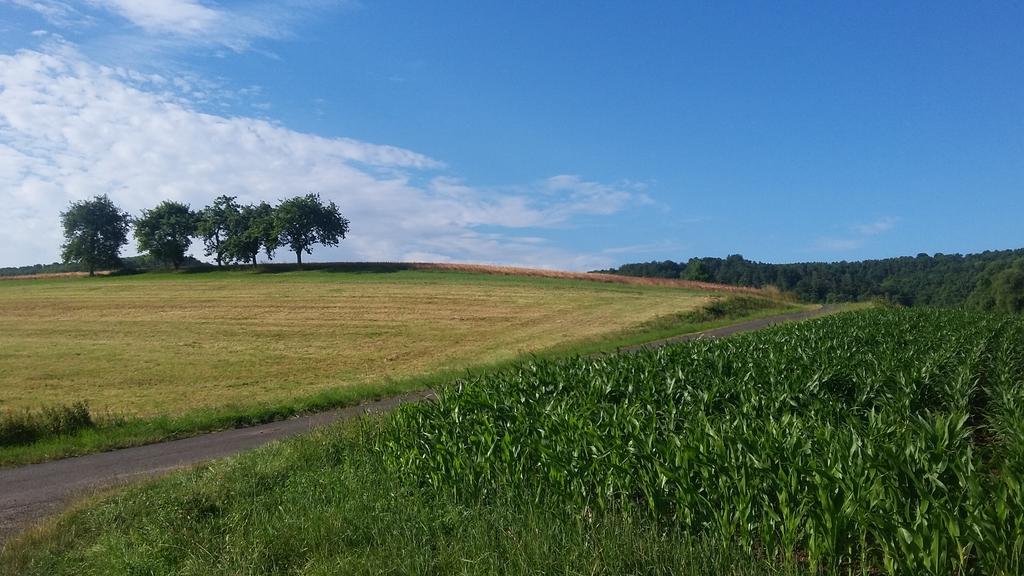 Landgasthof Zur Untermuehle Datterode Exteriör bild
