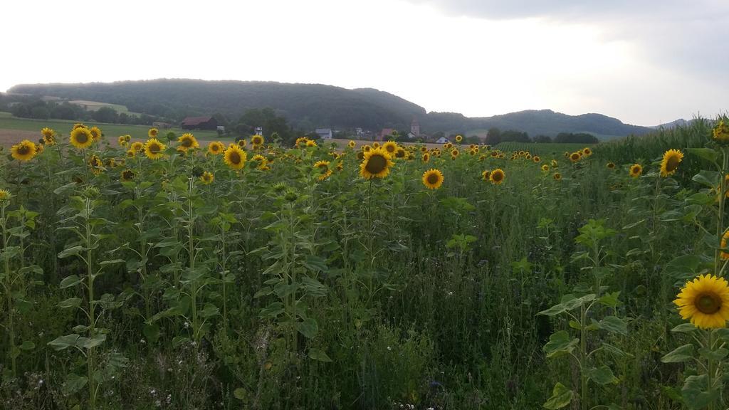 Landgasthof Zur Untermuehle Datterode Exteriör bild