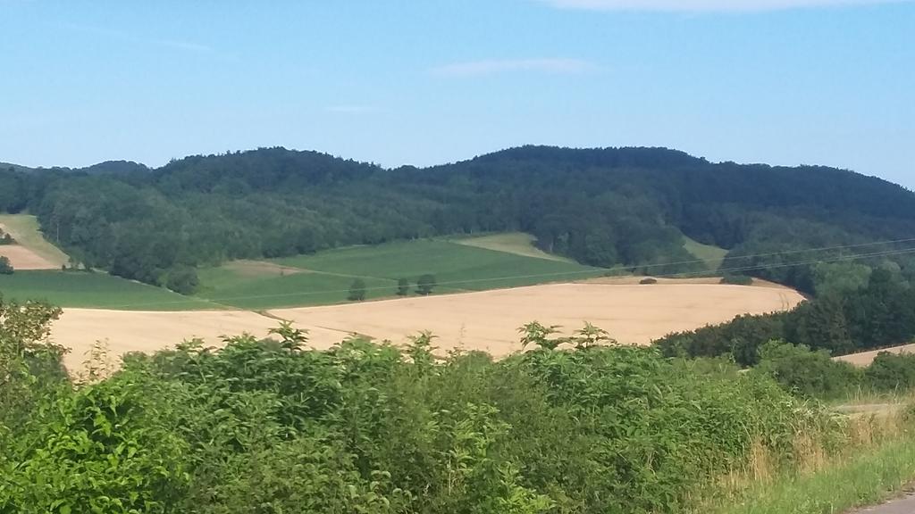 Landgasthof Zur Untermuehle Datterode Exteriör bild
