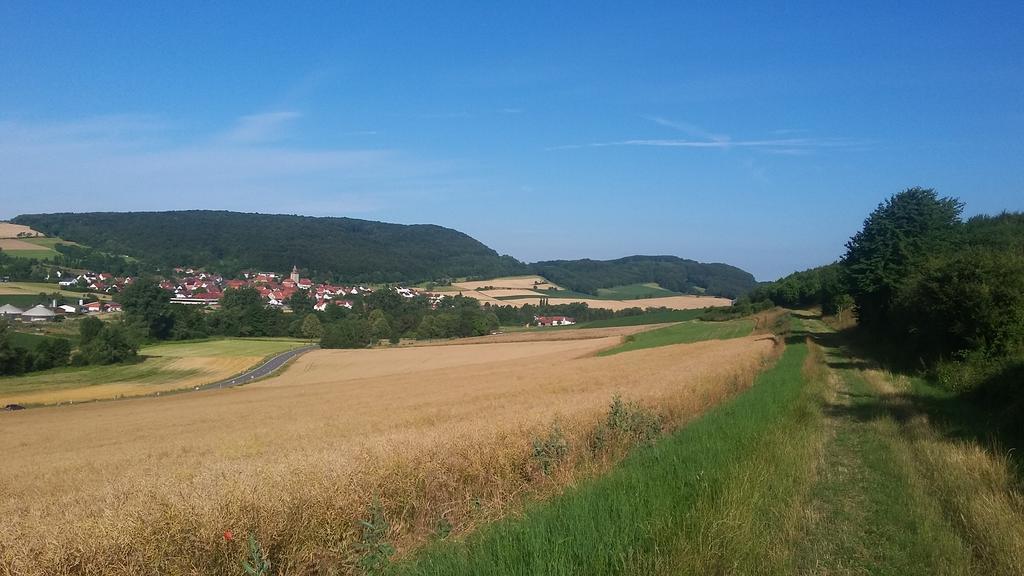 Landgasthof Zur Untermuehle Datterode Exteriör bild